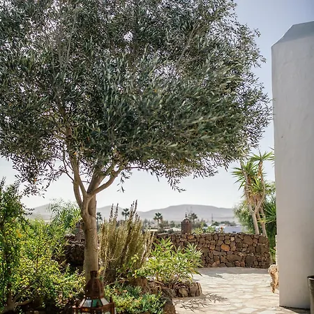 Casa Chris Y Marie, With Heated Mini Pool 别墅 拉哈雷斯